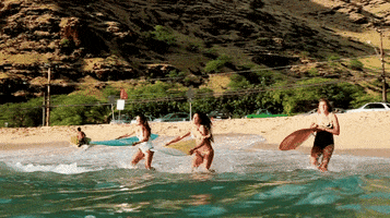 200.gif?cid=fc005b08adab16cf94a51431f274b4e9bff4c79c2d400201&rid=200.gif&ct=g