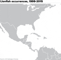 maps lionfish GIF by Mashable
