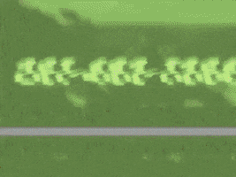 Music Video GIF by Dr. Dog