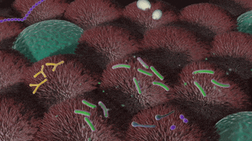 microbiome wyss GIF by Harvard University