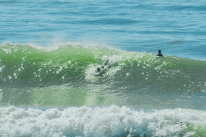arthurdesouza  GIF
