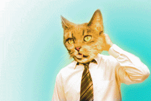 ulucselamet  GIF