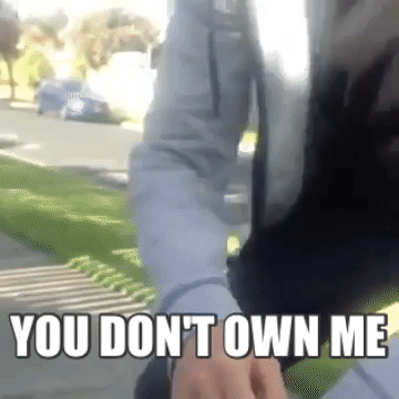 nikktionary you dont own me luke kidgell GIF