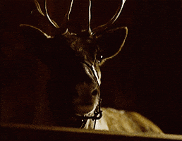 reindeer prancer GIF by MGM Christmas