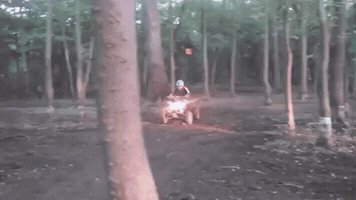 luishenrique  GIF