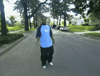 Disappearing Act GIFs - Find & Share on GIPHY
