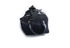 caritatediligimus  GIF