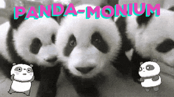 panda pun GIF by chuber channel