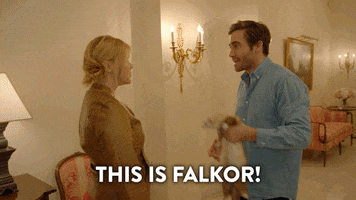 This Is Falkor Jake Gyllenhaal GIF by Comedy Central