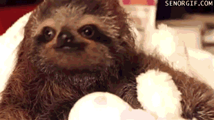 cihancimen  GIF