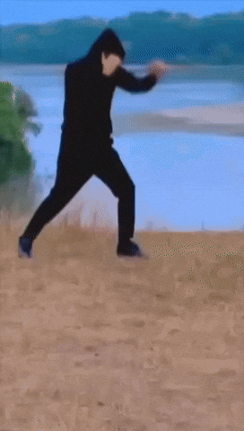 Fight Ufc GIF
