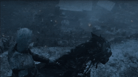  season 6 fight episode 6 game of thrones war GIF