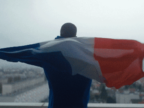 France Flag GIF by Nike Football - Find & Share on GIPHY