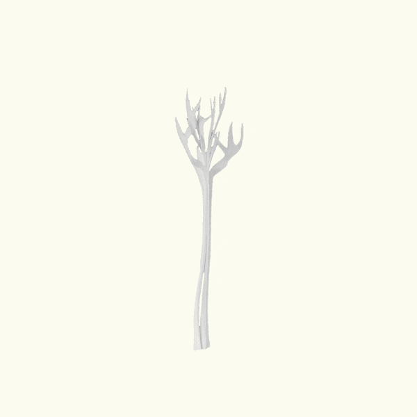 riff  GIF