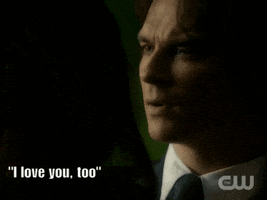 the vampire diaries love GIF by WhoSay