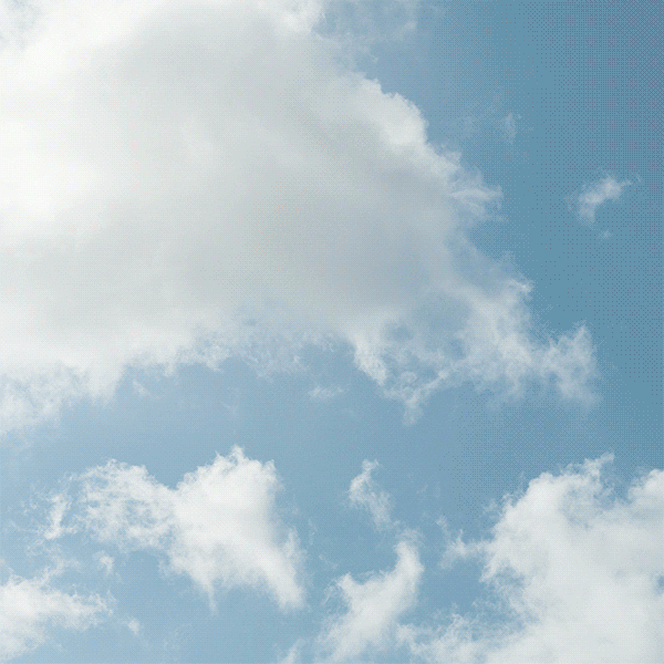 animation art GIF by Not So Fast Media