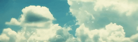 rafael  GIF