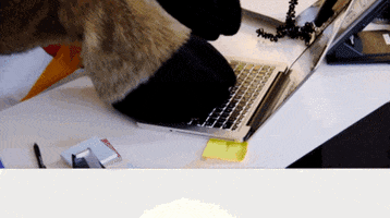 Work Working GIF by FOX TV