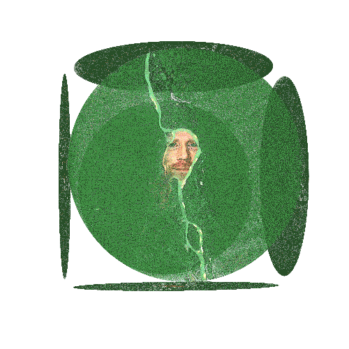 Josh Rigling animated GIF