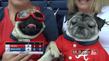 Dog Puppy GIF by MLB