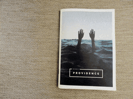 edureptil providence fanzine edu reptil GIF