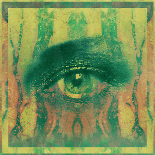 Pupil Dilation GIFs Get the best GIF on GIPHY