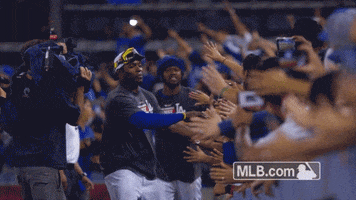 celebration smile GIF by MLB