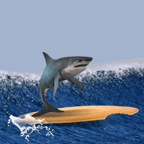 Digital art gif. Shark stands on its tailfin on a surfboard with a bite taken out of it, riding a big blue wave, while a man runs past in the foreground.