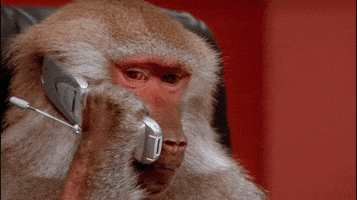 Phone Monkey GIF