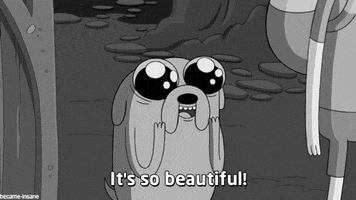 darkzonestore beautiful adventure time jake the dog GIF