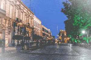 memo pan frases gloria memo GIF