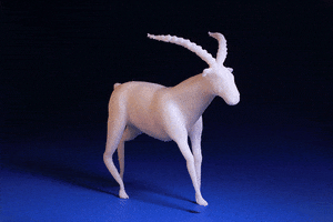 fredtretout horse stop motion cheval making of GIF