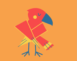 parrot GIF by Christina Lu