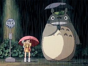 My Neighbor Totoro Wtf Gif By O O Inc Find Share On Giphy