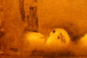 alto alto arte urbano GIF
