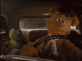 vickichapmanviolette driving muppets kermit fozzie the bear GIF