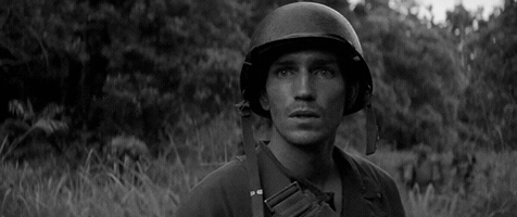 candidate the thin red line GIF