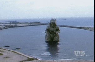 tohoscope  GIF
