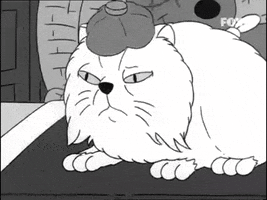 josemanuel tapa tapa tapa GIF