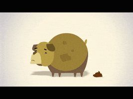 yonatanwinter funny animation dog loop GIF