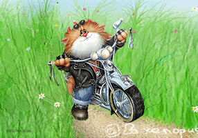 samy  GIF