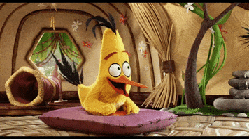 excited GIF by Angry Birds