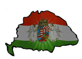 Flag Hungary Sticker by irgum