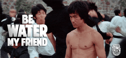 totaldamagehu martial arts bruce lee be water totaldamage GIF