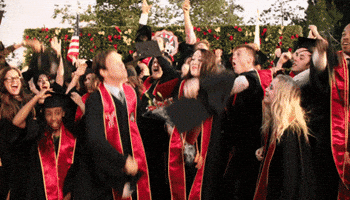 Fox Congratulations GIF by Cooper Barrett's Guide To Surviving Life's Guide To Surviving Life