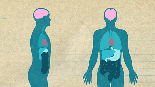 uc berkeley anatomy GIF by University of California