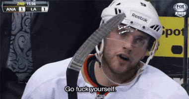 mightydavid funny hockey nhl mean GIF