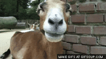 200.gif