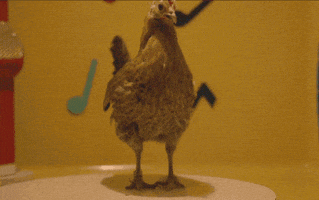 Dancing Chicken GIFs - Get the best GIF on GIPHY