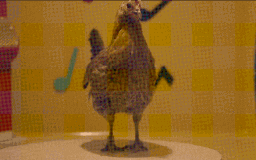 Chicken Dance GIFs - Get the best GIF on GIPHY